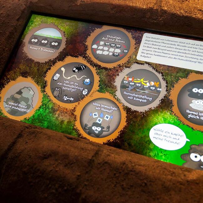 Touchmonitor Wurzelhöhle im Nationalpark Hainich