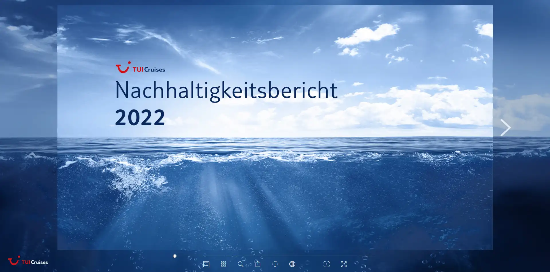 Nachhaltigkeitsbericht erstellen lassen von TEAM STORZ